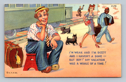 Comic postcard with humorous vacation message by Genuine Curteich-Chicago