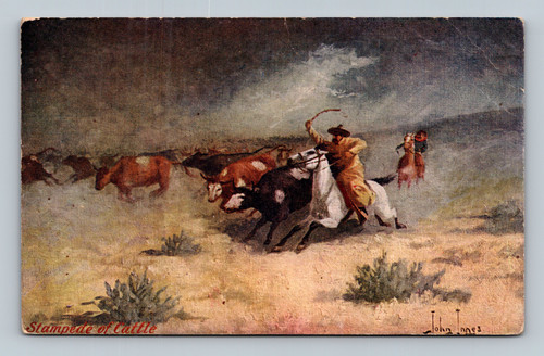 Stampede of a large herd of cattle in Eaton Colorado 1908 postcard