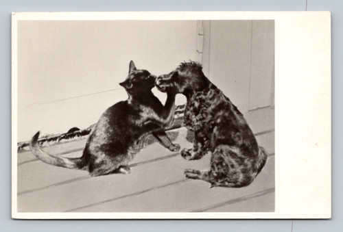 Photograph by Tage Heft, Stockholm, Sweden, published by Axel Eliassons Konstförlag