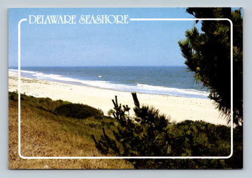 Delaware Seashore scenic view postcard from Lewes, USA