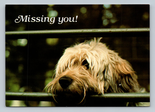 Missing you! postcard from Allen, TX by Argus Communications