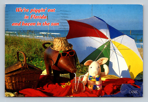 Pig-themed humorous postcard with bacon text from Florida