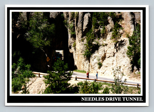 Needles Drive Tunnel in the Black Hills South Dakota