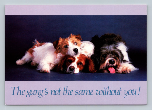 The gang's not the same without you! postcard from Allen TX by Argus Communications