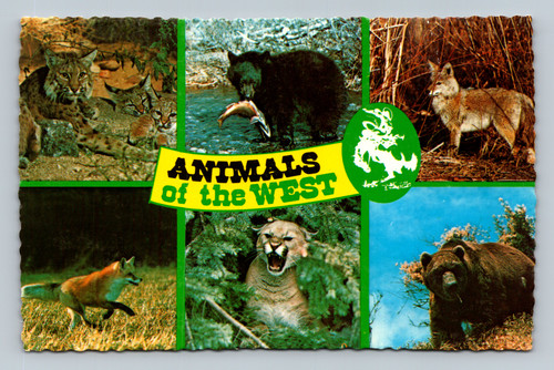 Animals of the West including Bobcats, Black Bear, Coyote, Red Fox, Mountain Lion, Grizzly Bear