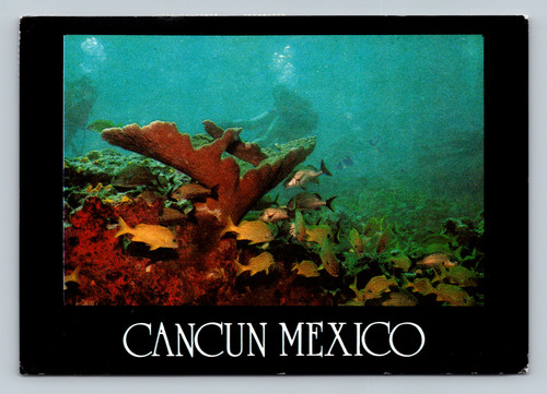 Aztec ruins and snorkeling scene in Cancun Mexico by K. Correa