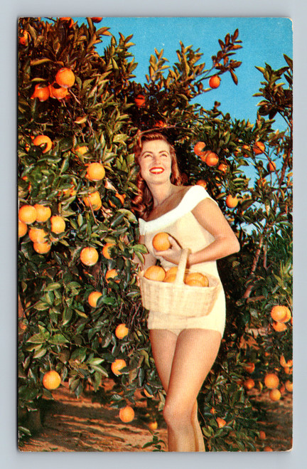 Beatuiful woman in skimpy outfit picking oranges