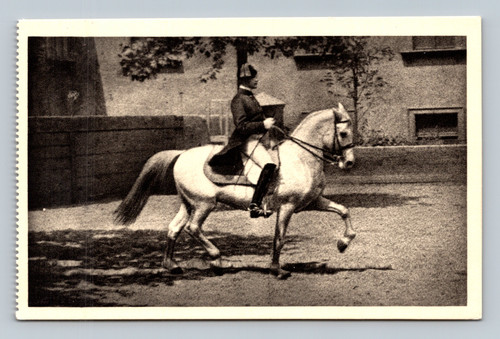 Spanische Reitschule Spanish Riding School in Wien Austria vintage postcard