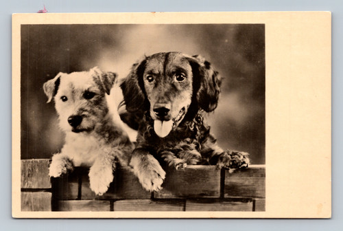 Antique unidentified postcard with no clear subject or location