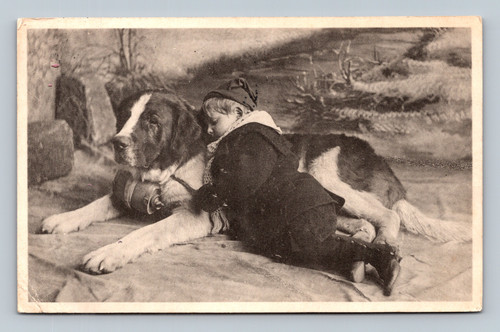 Our Pets Darling Goa England Antique Postcard by Davidson Bros.