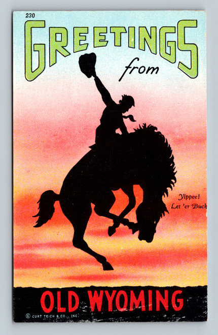 Old Wyoming great open spaces and relics of the old West postcard by CURT TEICH & CO. INC.
