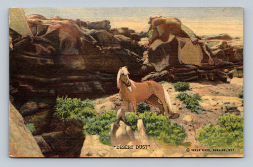 Wild Palomino Stallion in the Red Desert of Wyoming near Rawlins