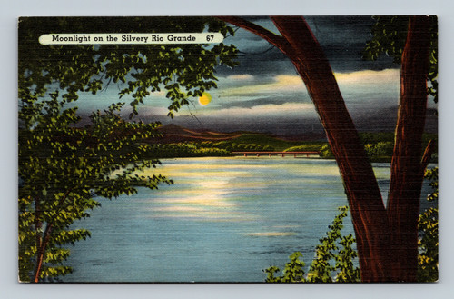 Moonlight on the Silvery Rio Grande in El Paso Texas postcard
