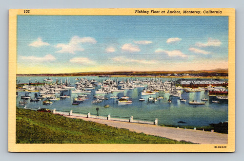Fishing fleet at anchor in Monterey Bay near Fishermen's Wharf, Monterey, California