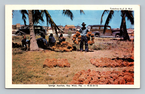Sponge Auction scene in Key West Florida postcard by Saunders Wholesale
