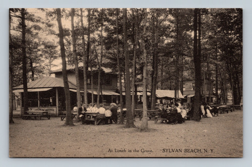 People having lunch in a grove at Sylvan Beach New York vintage postcard