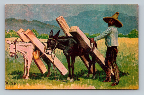 Vintage postcard showing Mexico City, Mexico, published by Fred Liebig