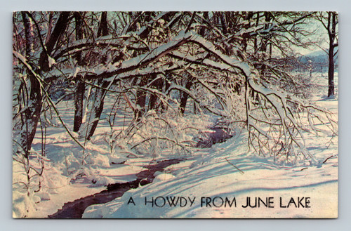 Howdy from June Lake postcard by Dexter Press
