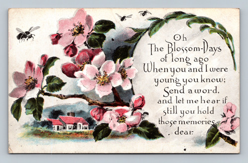 Poem about blossom days and memories at Central Square Oswego postcard