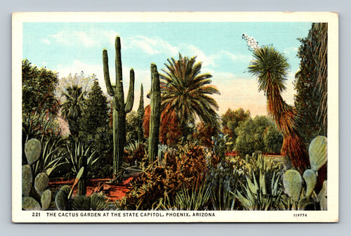 The Cactus Garden at the State Capitol Phoenix Arizona postcard