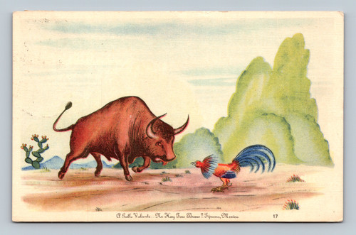 a bull and a rooster face off in tijuana mexico