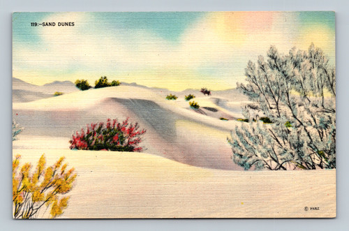 Sand dunes in San Diego California by Herz Post Cards