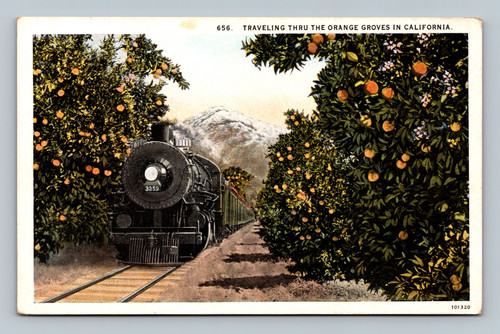 Traveling through orange groves in California postcard