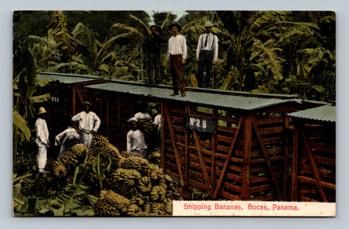 Shipping Bananas in Bocas Panama postcard with Cristobal postmark 1918