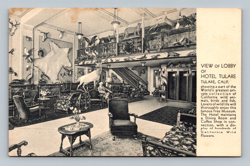 Lobby of Hotel Tulare with California wild animals collection