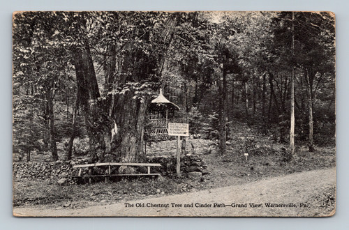 The Old Chestnut Tree and Cinder Path in Grand View, Wernersville, PA postcard
