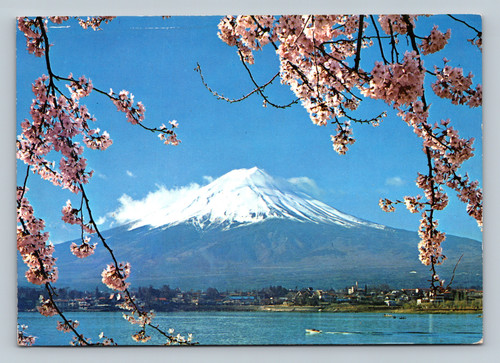 Mt. Fuji and Cherry Blossoms as viewed from Kawaguchi Lake Japan postcard