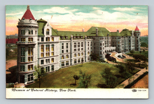 Museum of Natural History New York postcard image