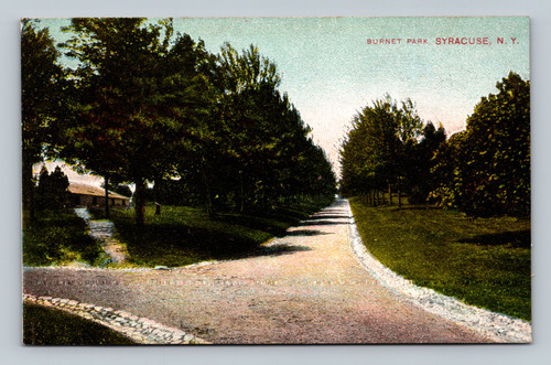 Burnet Park Syracuse New York scenic view postcard 1910