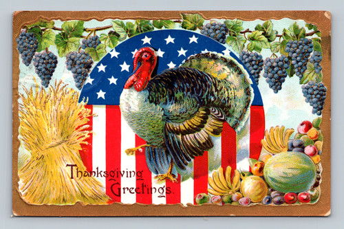 Thanksgiving greetings postcard at Central Square with Fulton postmark
