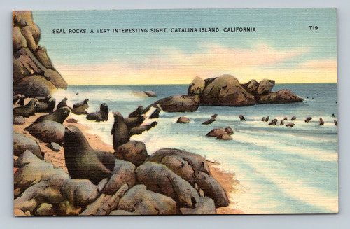 Seal Rocks Catalina Island California postcard by Tichnor Art Company