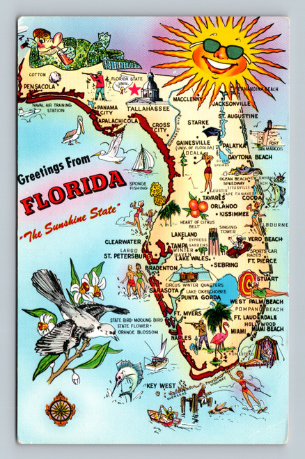 Greetings From Florida postcard featuring various cities and landmarks
