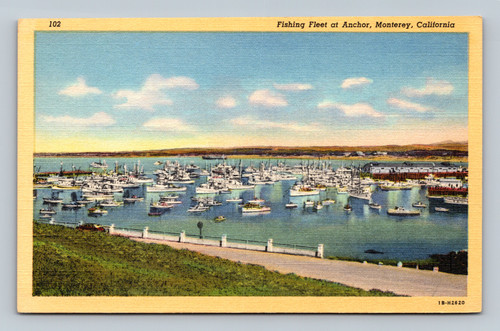 Fishing fleet at anchor near Fishermen's Wharf Monterey California