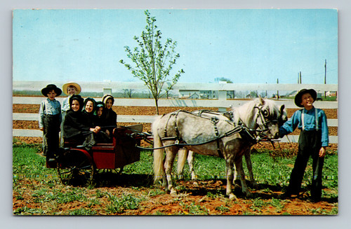 Group of Amish children with ponies and cart in Pennsylvania Dutch Country Lancaster PA