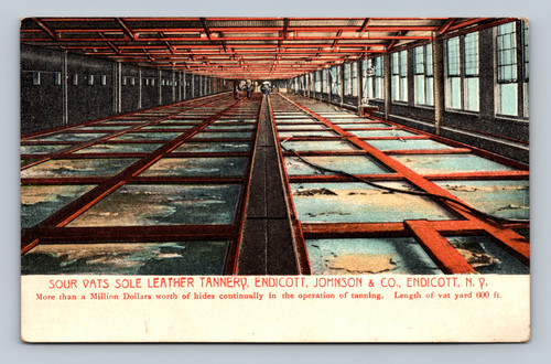 Sole leather tannery operations with vats and hides at Johnson & Co., Endicott NY