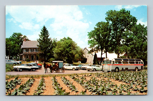 The Amish Farm & House replica with farm animals, water wheels, buggies, and windmill near Lancaster PA