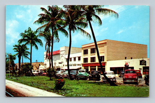 Business section through the coconut palms Stuart Florida postcard