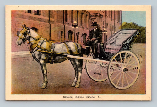 Calèche horse-drawn carriage in Quebec Canada vintage postcard