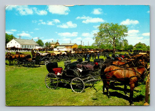 Mennonite Meeting House with horses and buggies in Kitchener-Waterloo Ontario