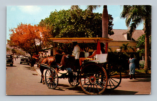 Nassau colorful native carriages traditional transportation Bahamas postcard