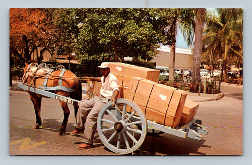 Native two wheel carts used for delivery of merchandise in Nassau Bahamas