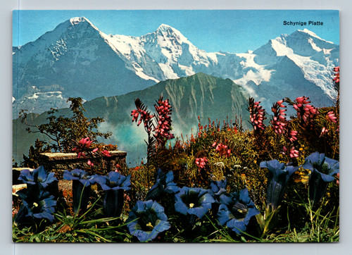 Schynige Platte mountain scene with alpine flowers and hotel in Switzerland