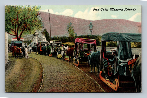 Sled cabs drawn by oxen on hard loam roads in Madeira Islands Portugal