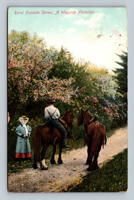 A Wayside Flirtation rural Canada postcard by Stedman Bros