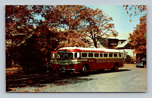 Sightseeing bus at lodge on Skyline Drive in Shenandoah National Park