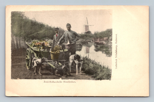 Zuid-Hollandsche Hondenkar in Zuid-Holland Netherlands postcard